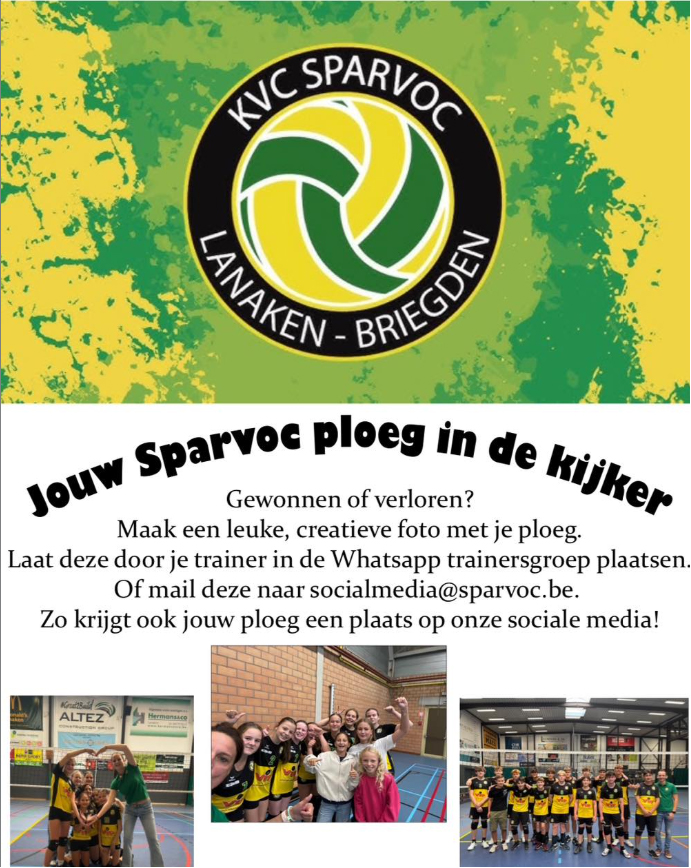 Poster 2 Sparvoc Beginfase